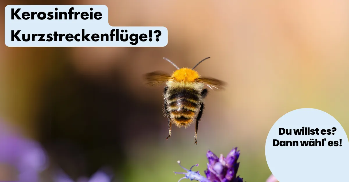 ohnelogo_linkedin_kerosinfrei_hummel